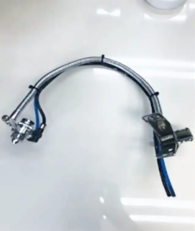 本体